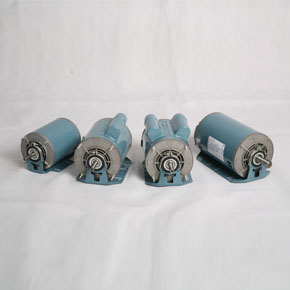 Resilient Base Motors